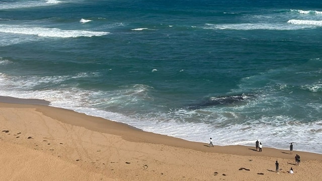 メルボルン工科大学（RMIT）語学留学