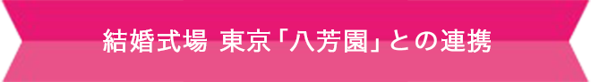 オープンキャンパス特別企画