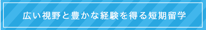 広い視野と豊かな経験を得る短期留学