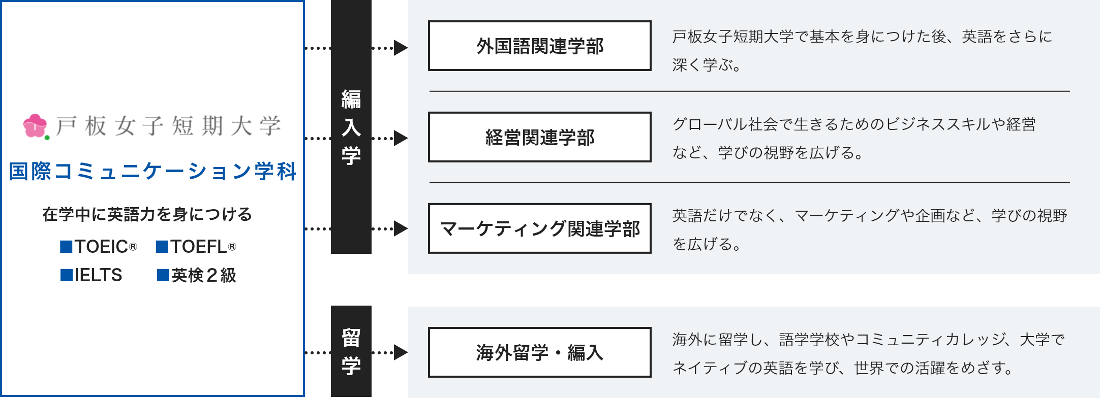 編入学の流れ