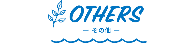 OTHERS（その他）