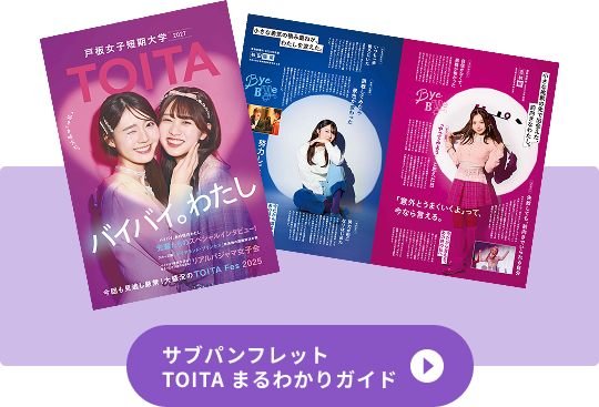 サブパンフレット TOITA まるわかりガイド