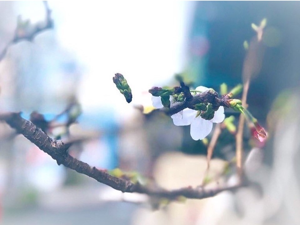 在学生の皆様へ　学長メッセージ