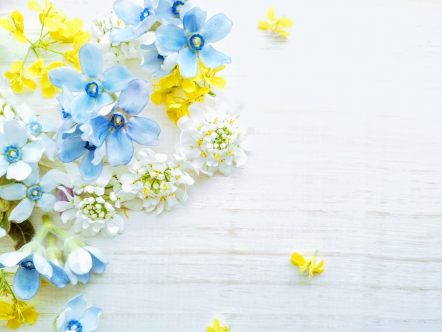 TOITAファッションニュース　vo.1