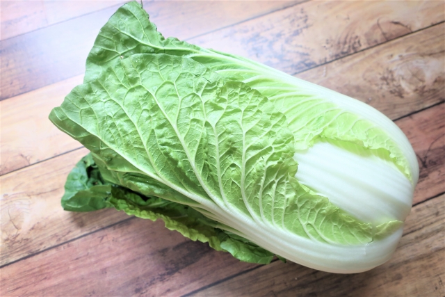 冬に美味しい～白菜～