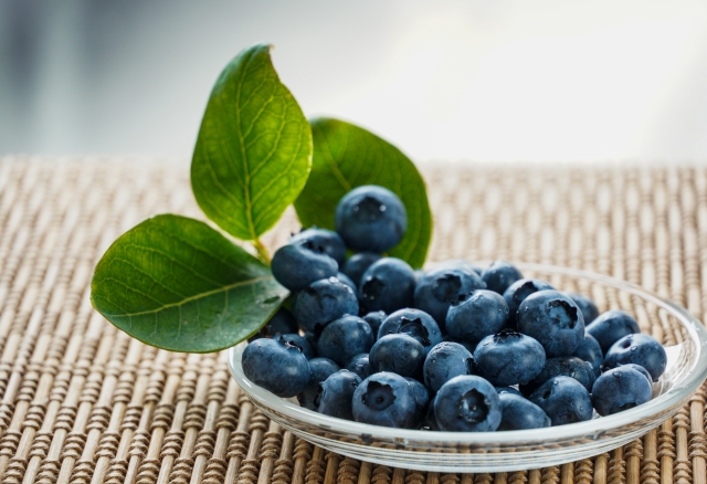 【食物栄養科】井部ゼミが「ご近所ラボ新橋」とコラボ！ブルーベリーを味わおう！