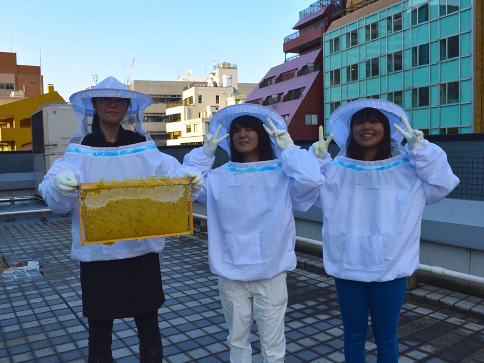 芝BeeBee’sへの参加　～食育ゼミナール（井部ゼミ）の活動紹介～