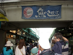 食物栄養科かわらばんVol.45（15.5.27）食育演習～築地市場見学～