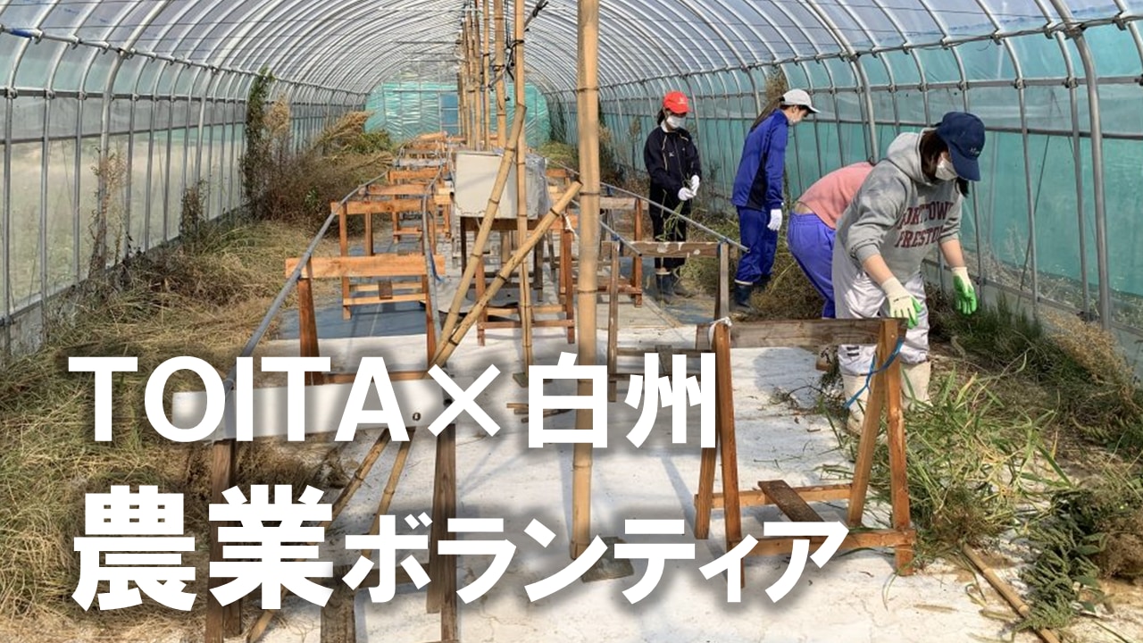 ボランティア演習で毎年恒例　山梨県・白州に行きました。