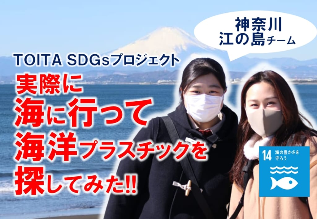 TOITA アンバサダー 海洋プラスチック現地調査~神奈川県　江の島チーム編~