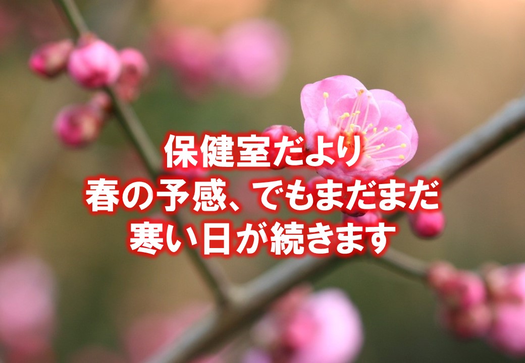 保健室だより　春の予感　でもまだまだ寒い日が続きます。
