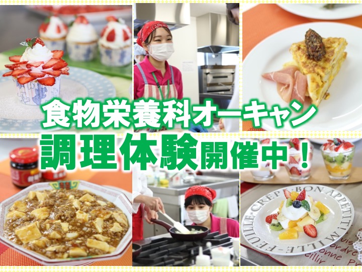 【来校型オープンキャンパス】スイーツ＆調理体験開催中♪