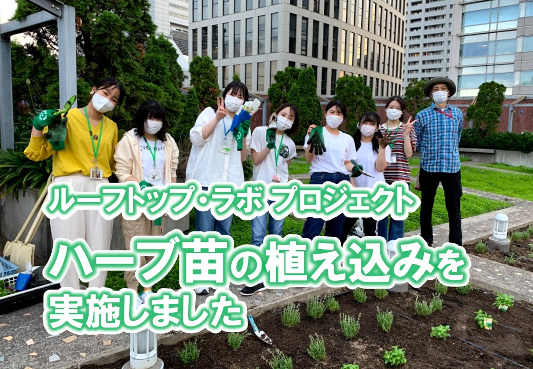 屋上菜園　ルーフトップ・ラボ　がついに始動しました！