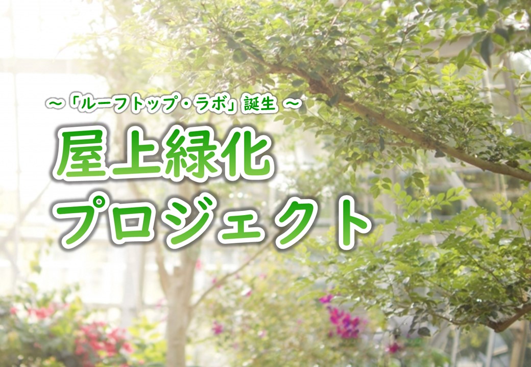 屋上緑化プロジェクト「ルーフトップ・ラボ」を開始します