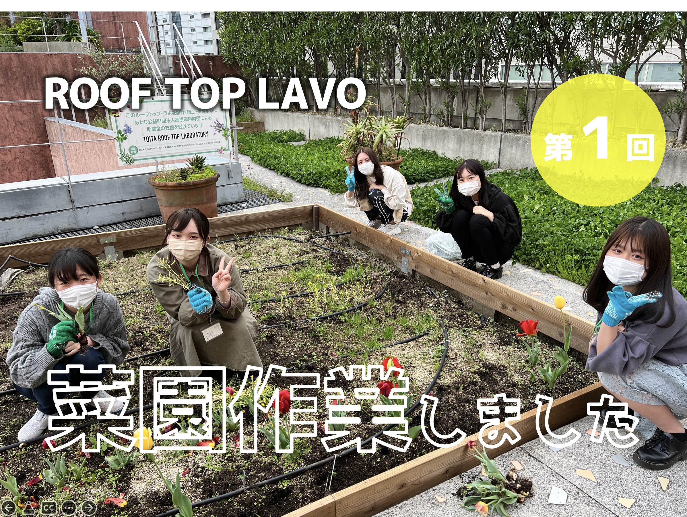 ROOF TOP LAB　菜園作業をしました。