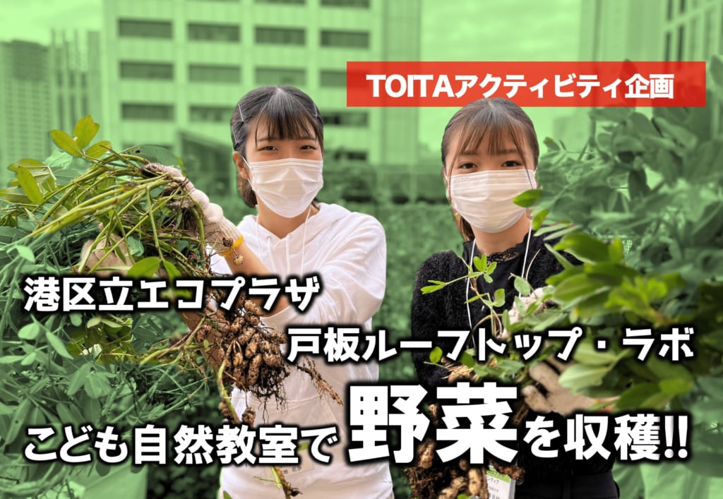 【港区立エコプラザ×戸板ルーフトップ・ラボ】こども自然教室で野菜を収穫しました！