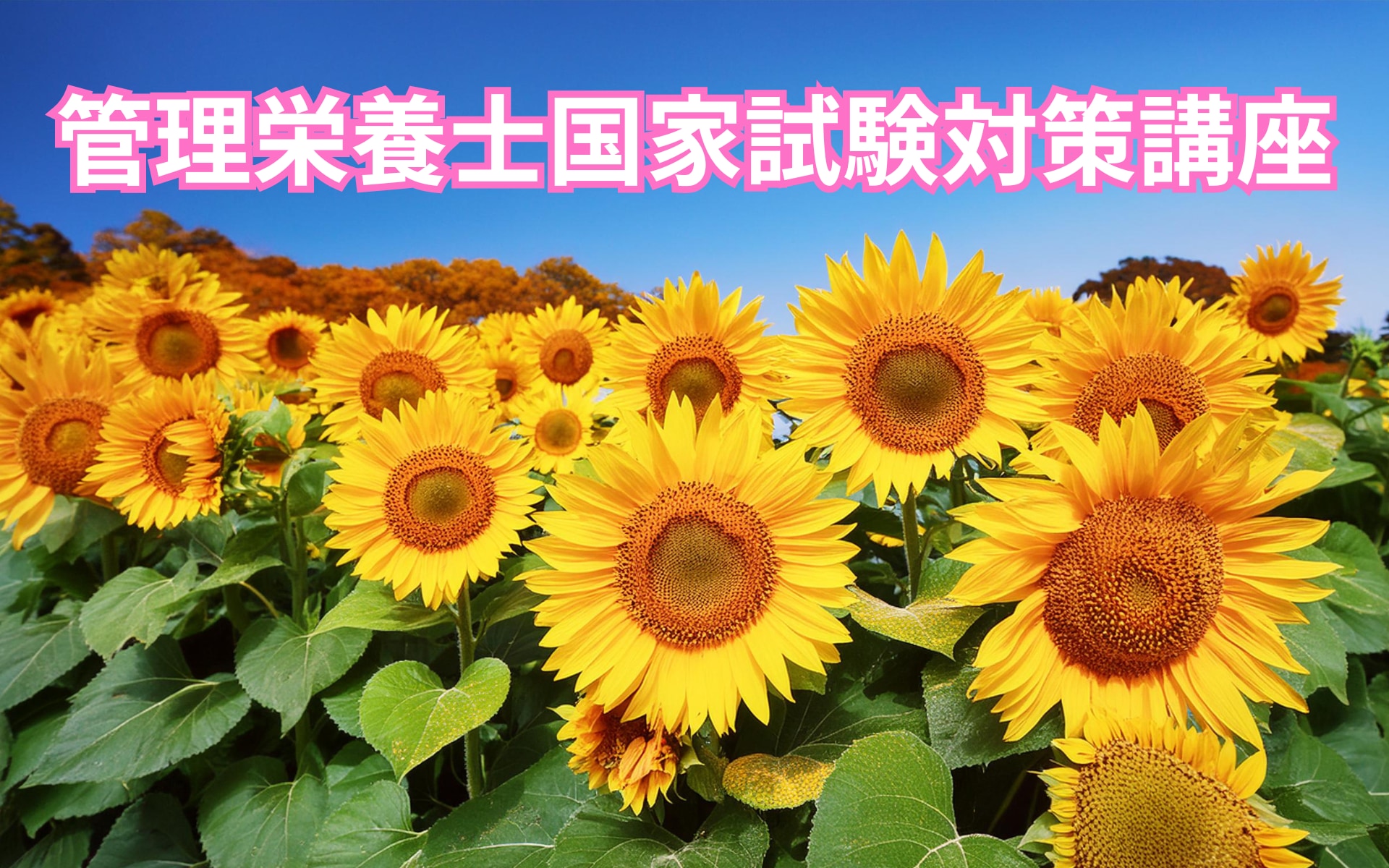 【食物栄養科】2024年度　管理栄養士国家試験対策講座を開催します！