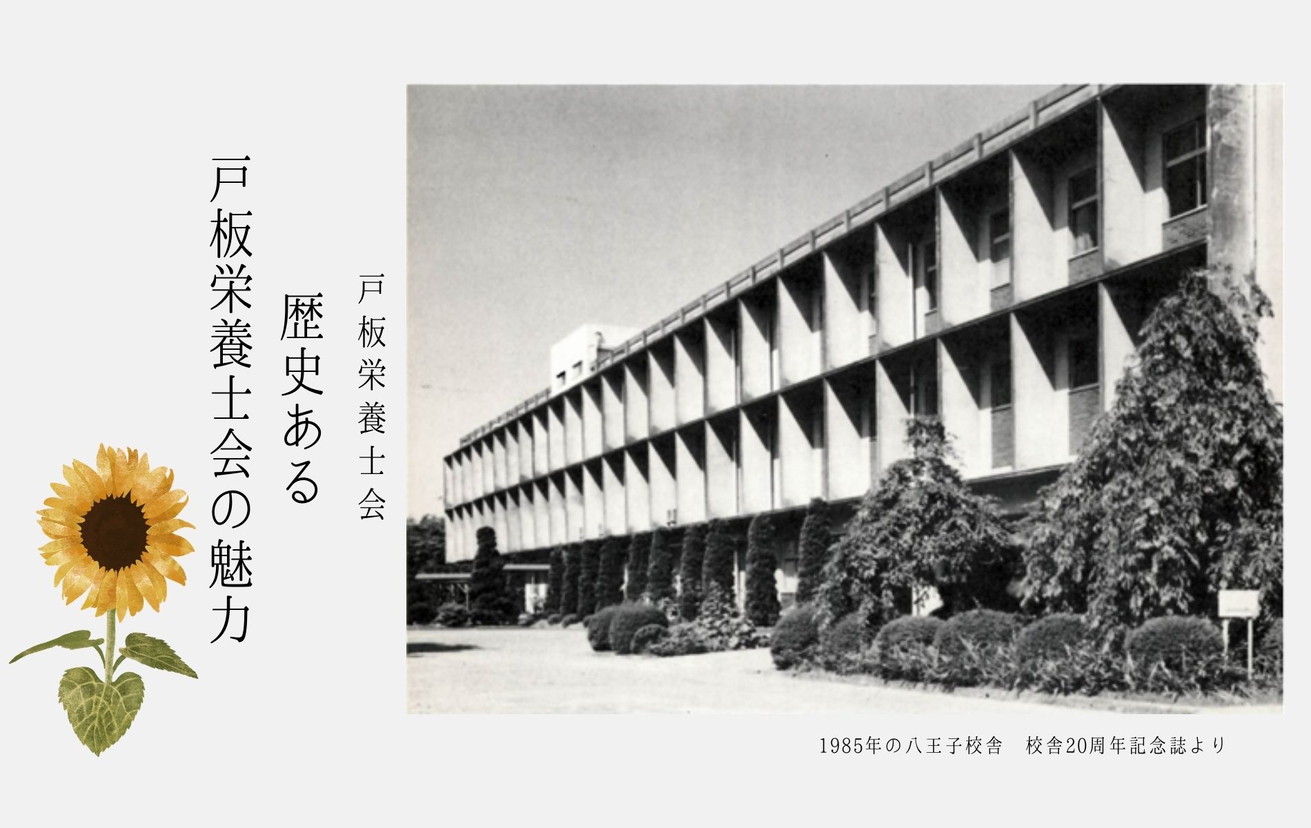 【戸板栄養士会】歴史ある戸板栄養士会の魅力